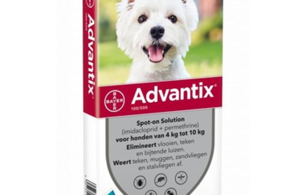 advantix for dogs