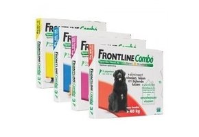 Frontline Combo Hund