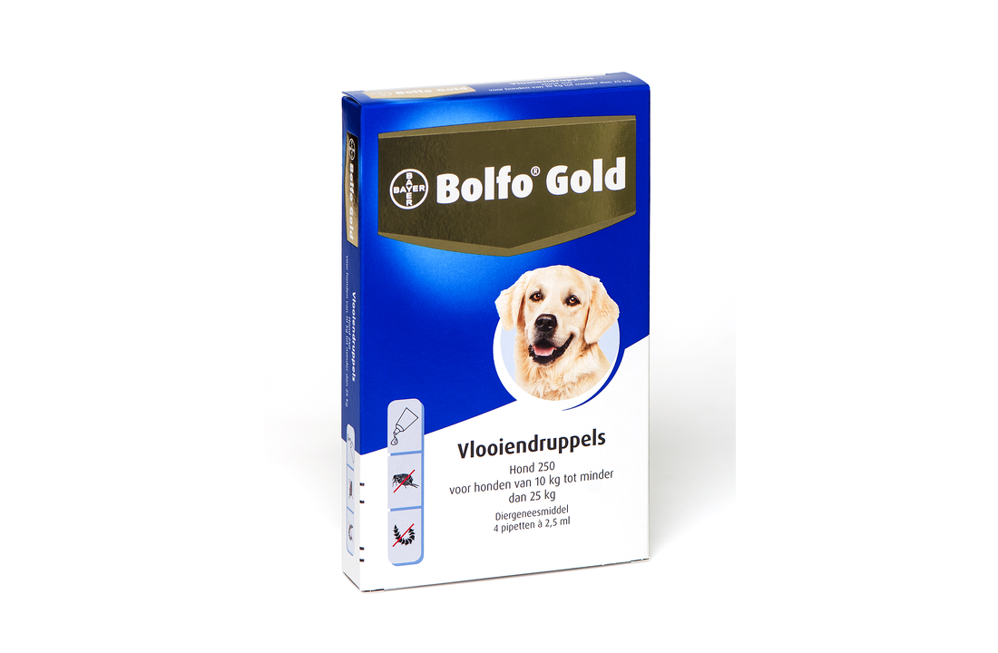 Bolfo Gold Dog