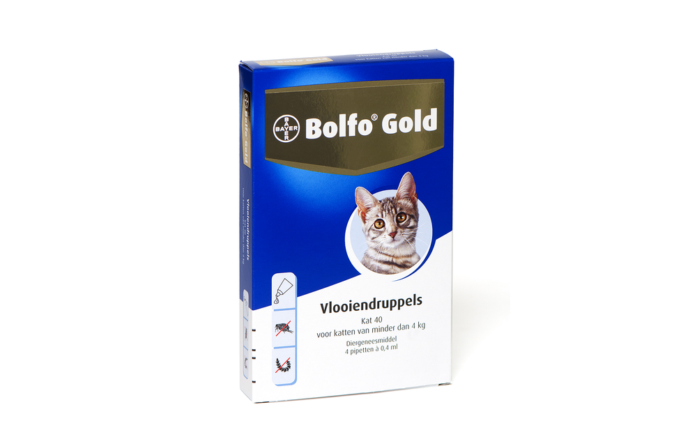 Bolfo Gold Cat