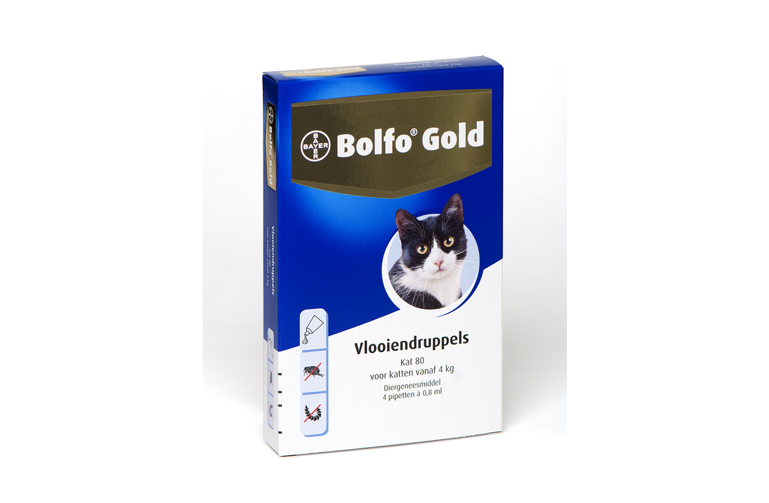 Bolfo Gold Cat