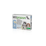 Milprazon Hund