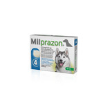 Milprazon Hund