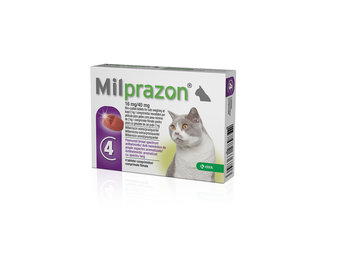 Milprazon Cat