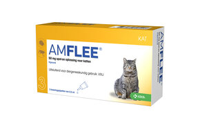 Amflee Cat
