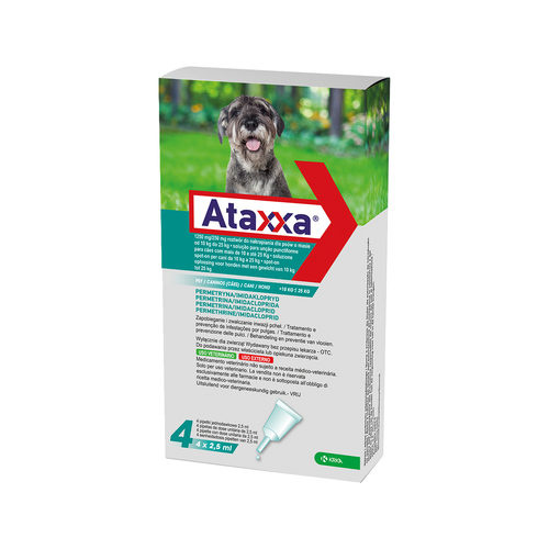 Ataxxa Hond