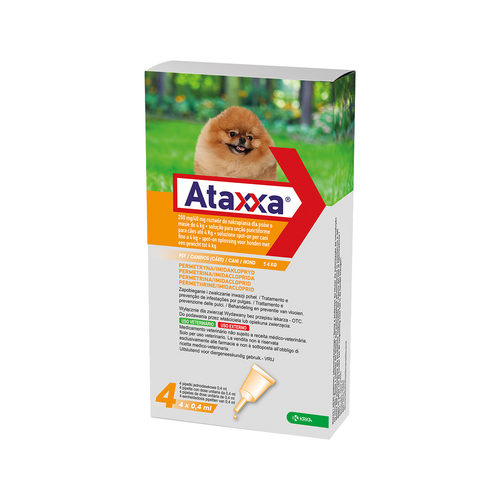 Ataxxa Hond