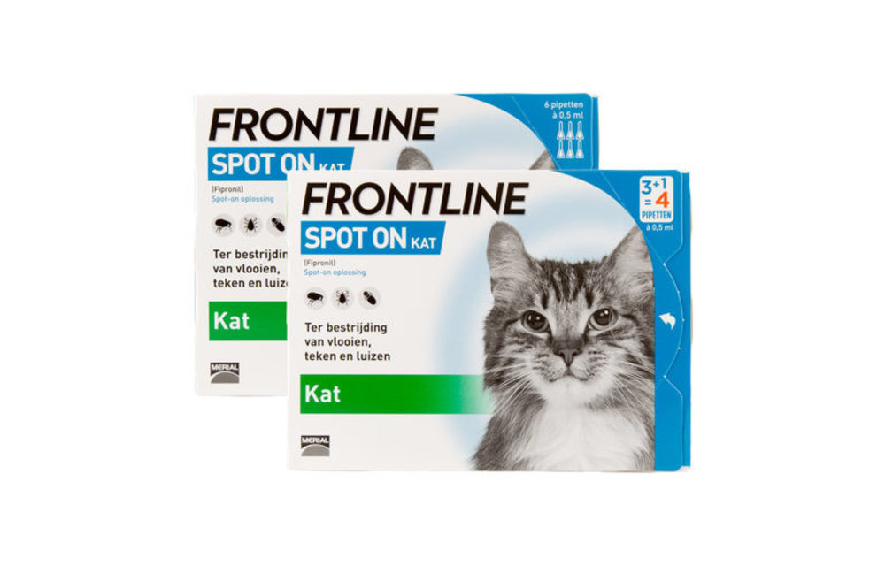 frontline spot on for cats 6 pack