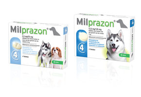 Milprazon Dog
