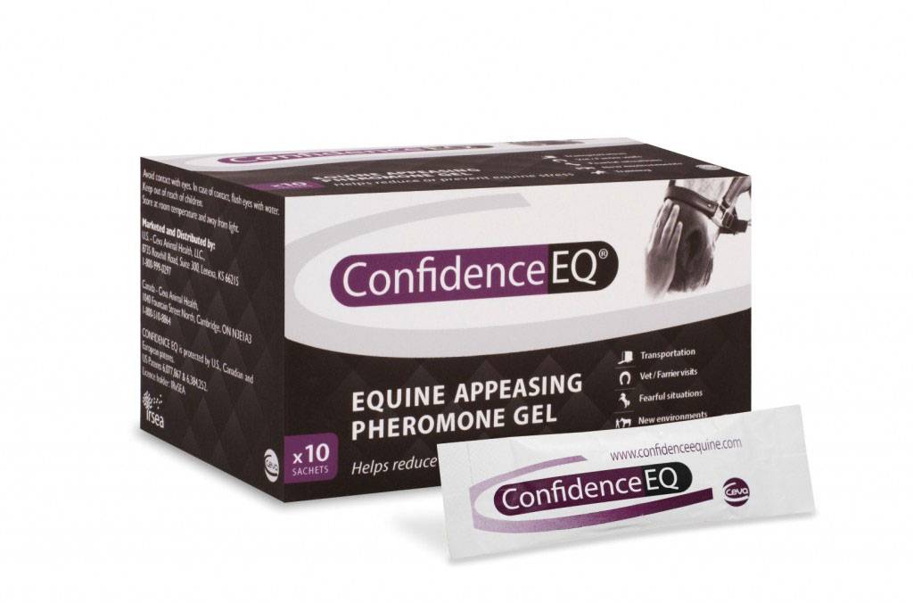 Confidence EQ Horse