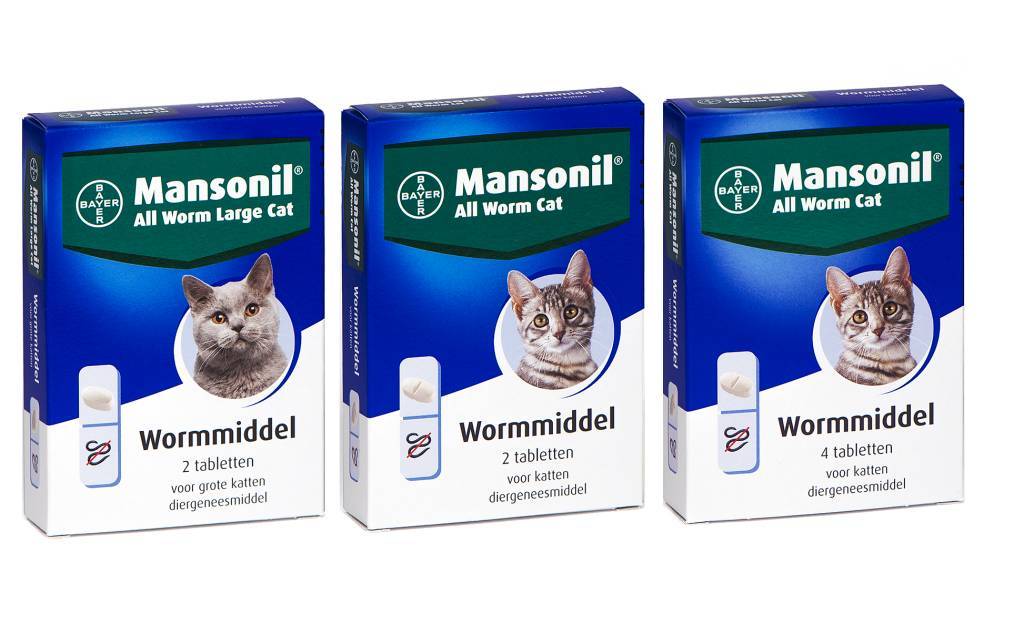 Mansonil All Worm Cat