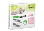 Dronspot Katzen