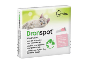Dronspot Katzen