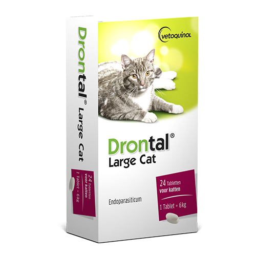 Drontal Cat