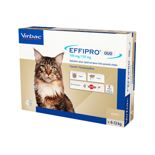 Effipro DUO Spot-on Kat