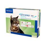 Effipro DUO Spot-on Katze