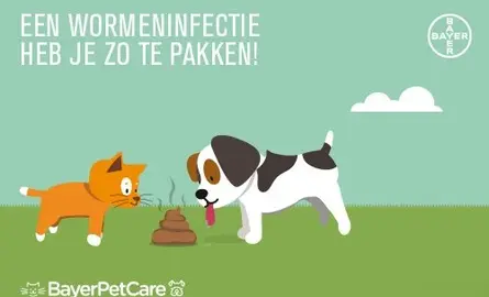 Besmetting, klachten & behandeling van worminfecties