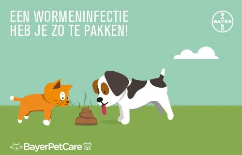 Besmetting, klachten & behandeling van worminfecties