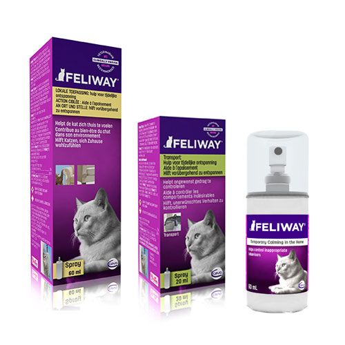 Feliway Spray