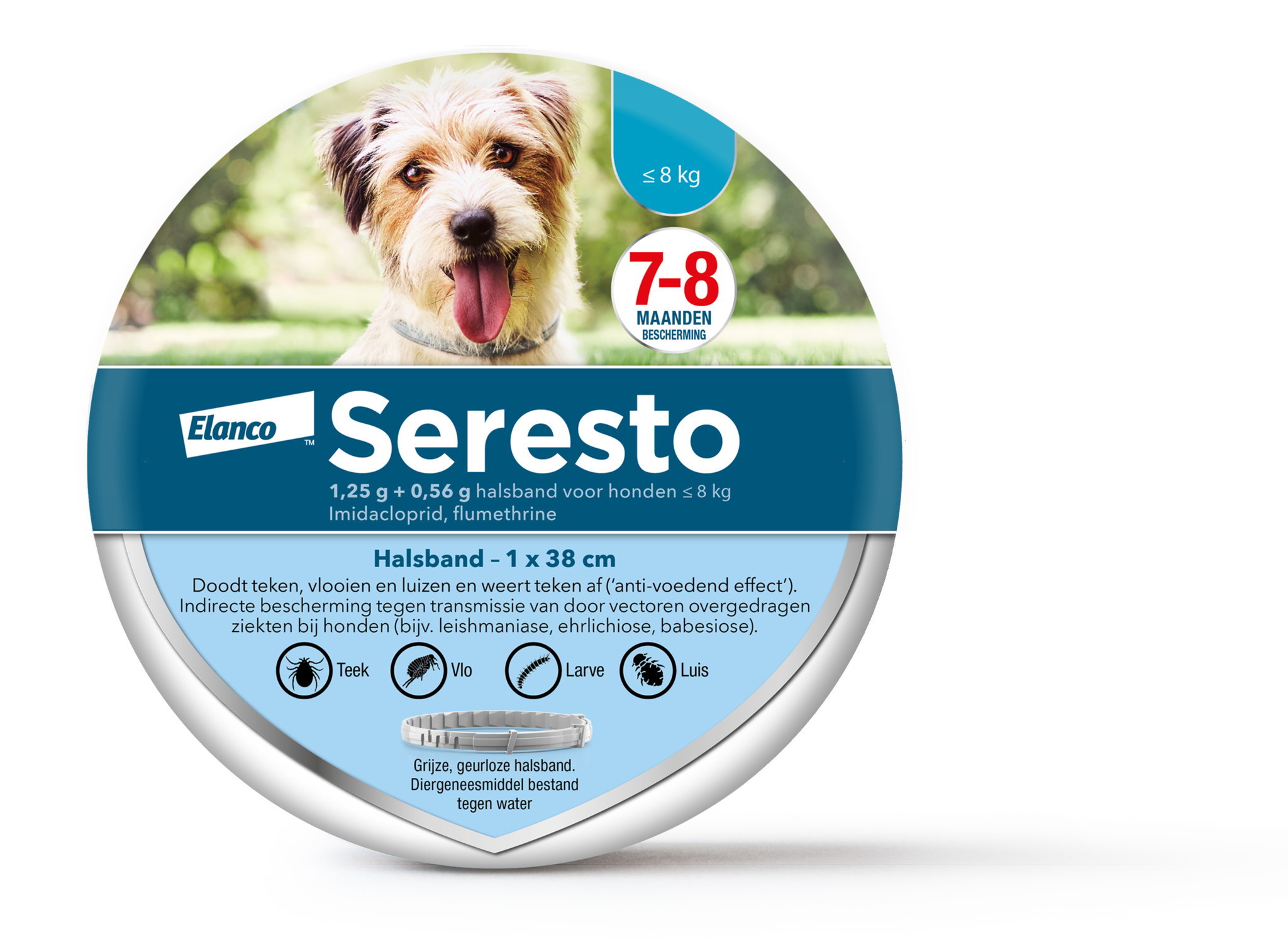 Seresto Hond
