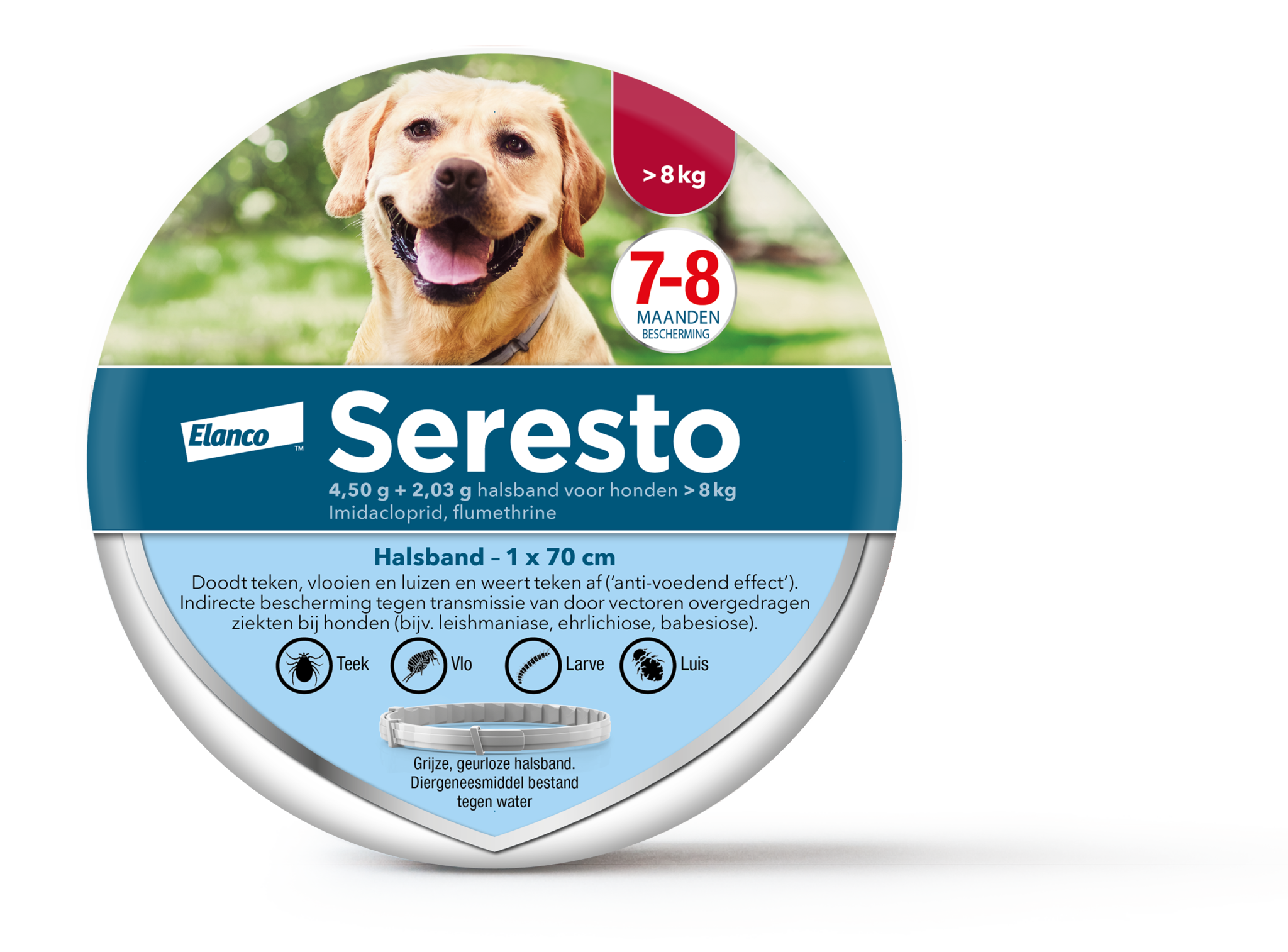 Seresto Hond