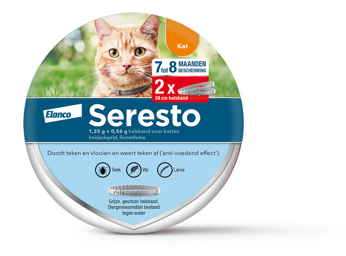 Seresto Katze
