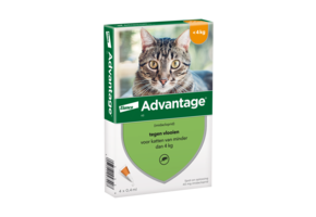 Advantage Cat