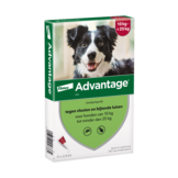 Advantage Dog