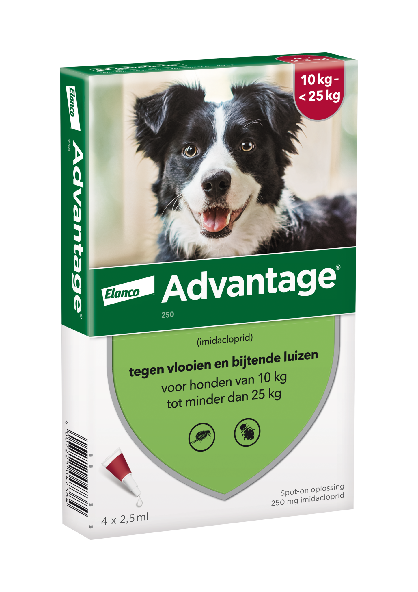 Advantage Dog