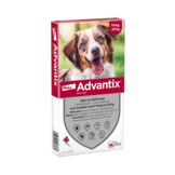 Advantix Dog