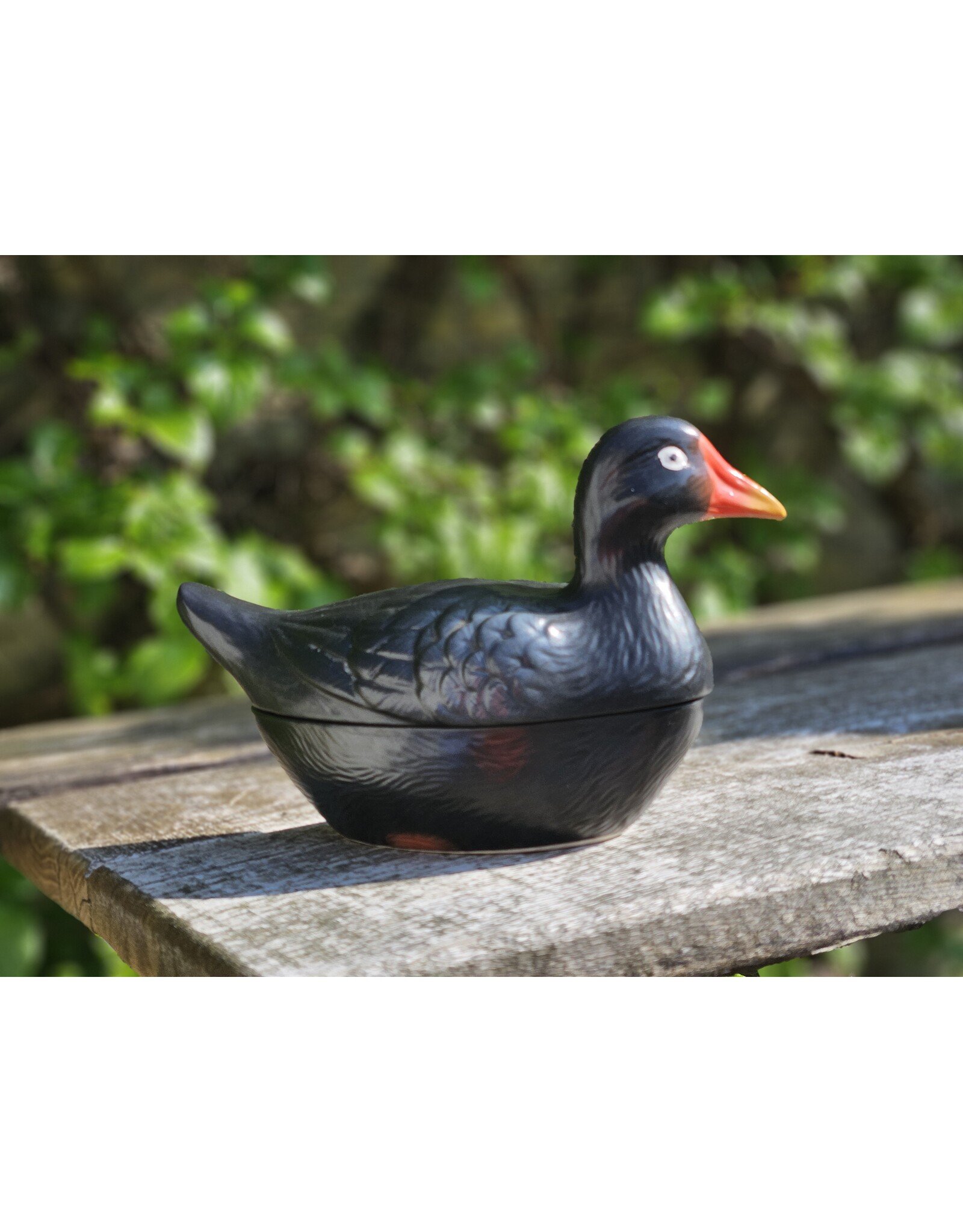 Michel Caugant Patéschaal Waterhoen