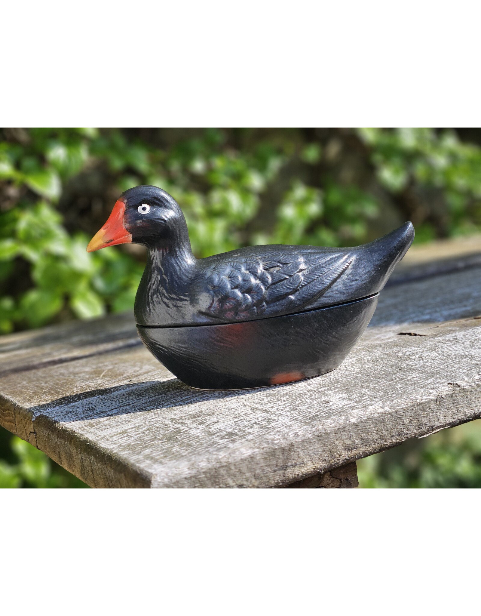 Michel Caugant Patéschaal Waterhoen