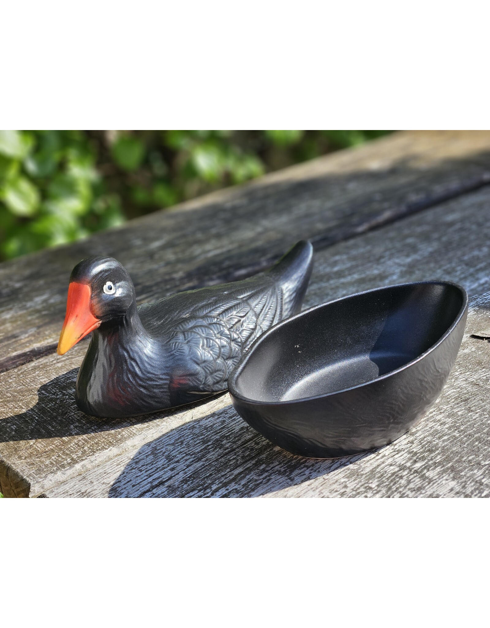 Michel Caugant Patéschaal Waterhoen