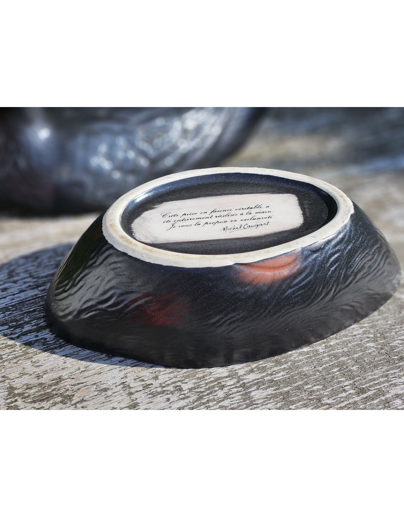 Michel Caugant Patéschaal Waterhoen