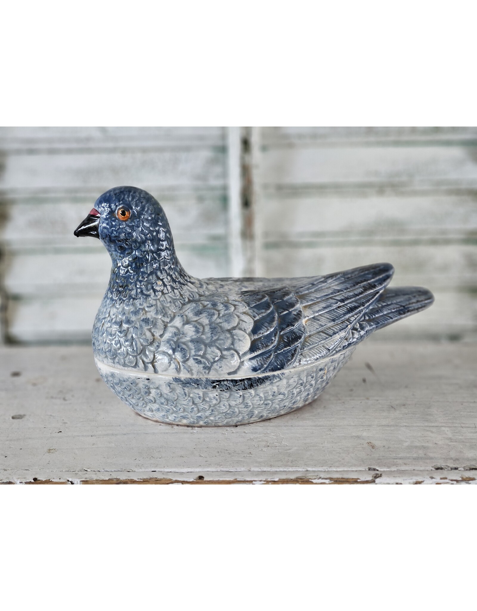 Michel Caugant Pateschaal Duif