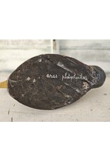 Franse houten Lokeend