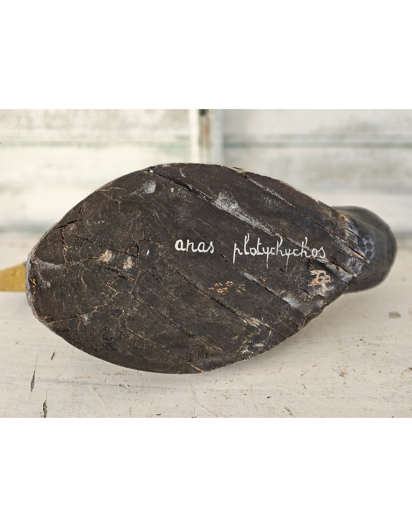 Franse houten Lokeend