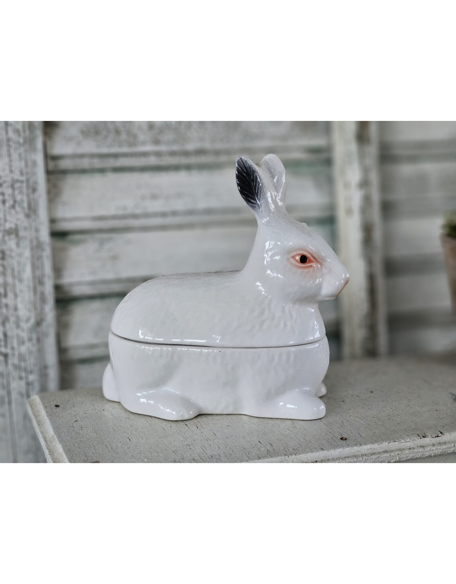 Michel Caugant Patéschaal Klein Konijn