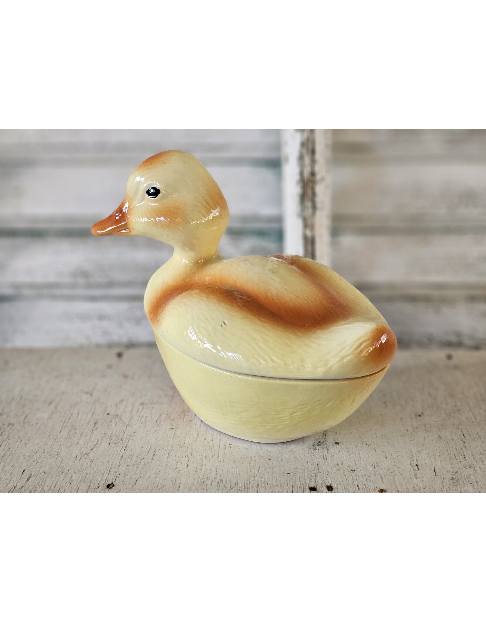 Michel Caugant Patéschaal Eendje Kuiken