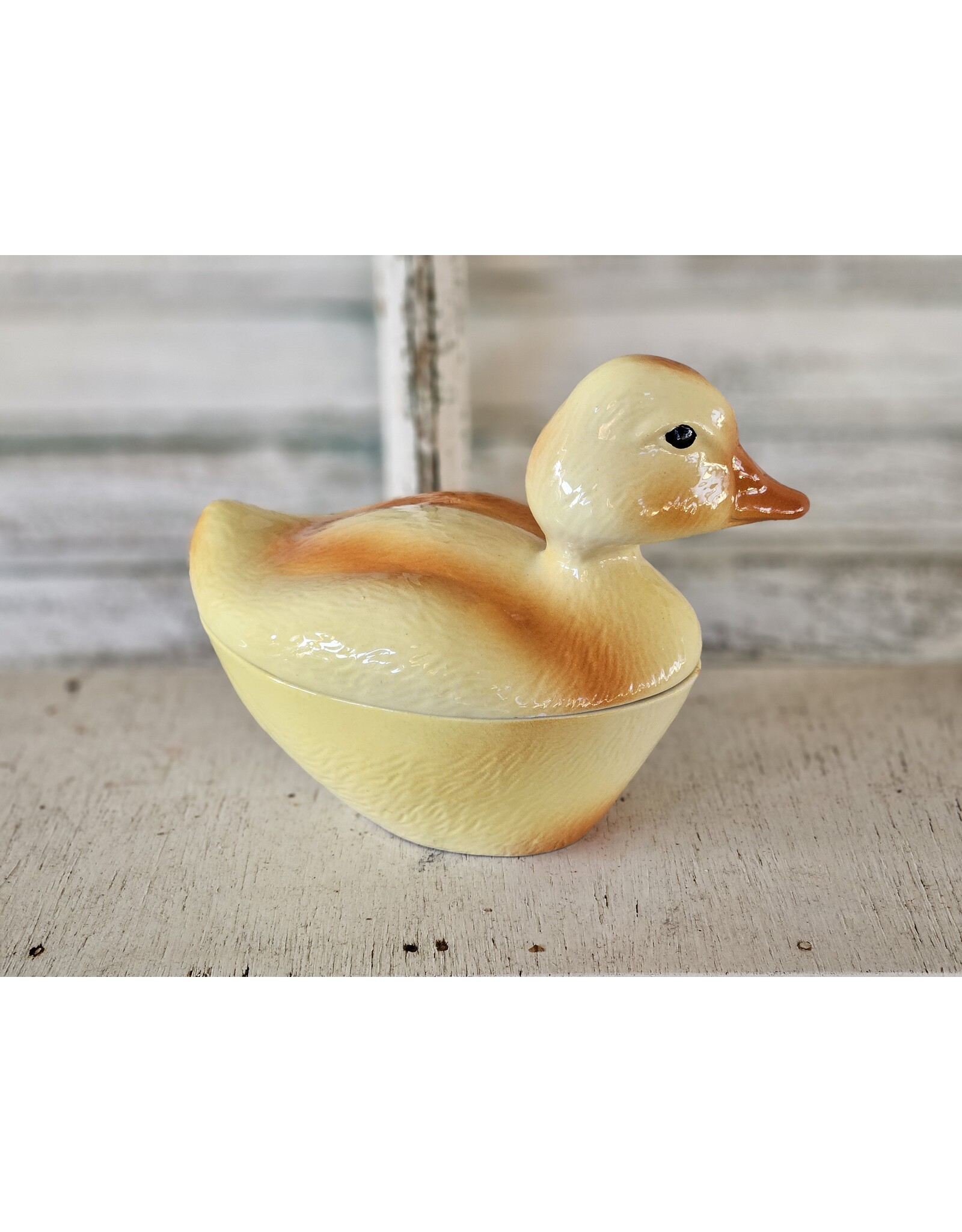 Michel Caugant Patéschaal Eendje Kuiken