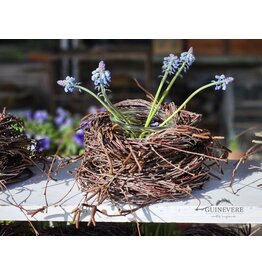 Guinevere Nestje in Bakvorm