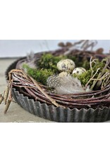 Guinevere Nestje in Bakvorm