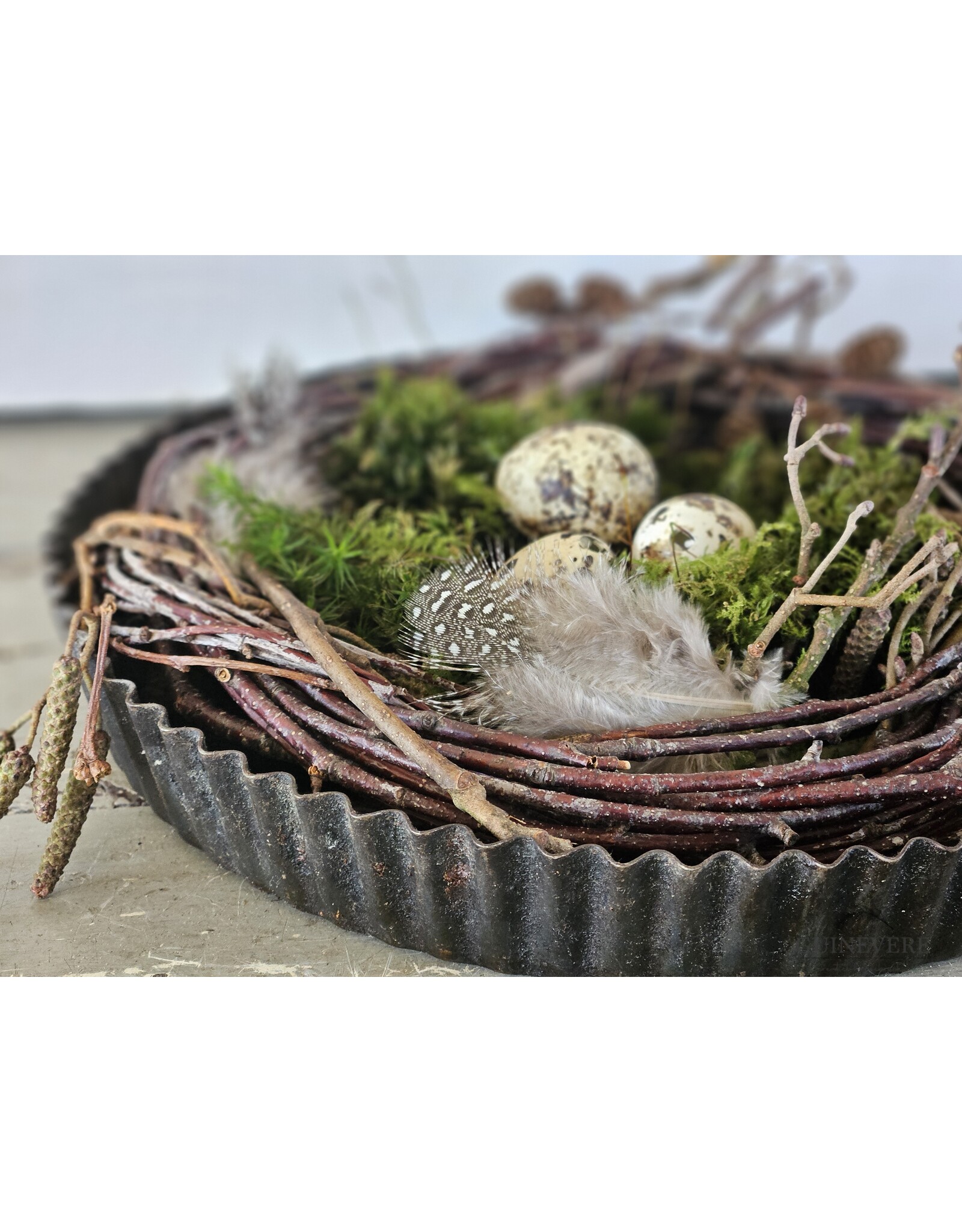 Guinevere Nestje in Bakvorm