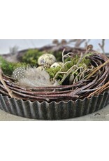 Guinevere Nestje in Bakvorm