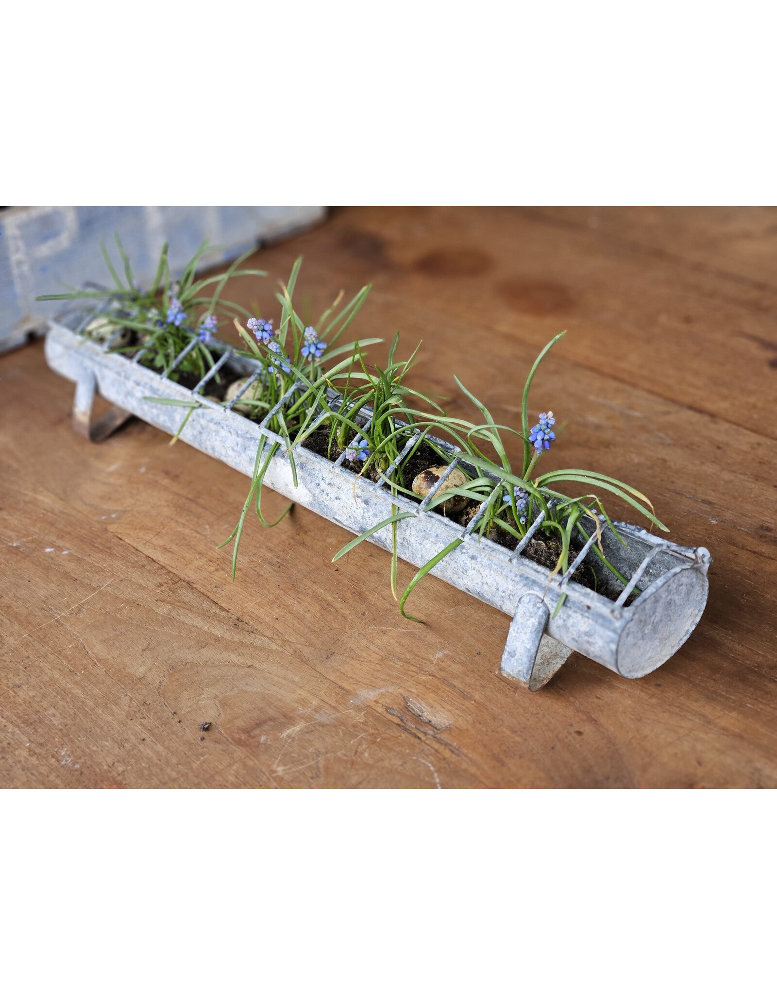 Zinken Kippenvoerbakje