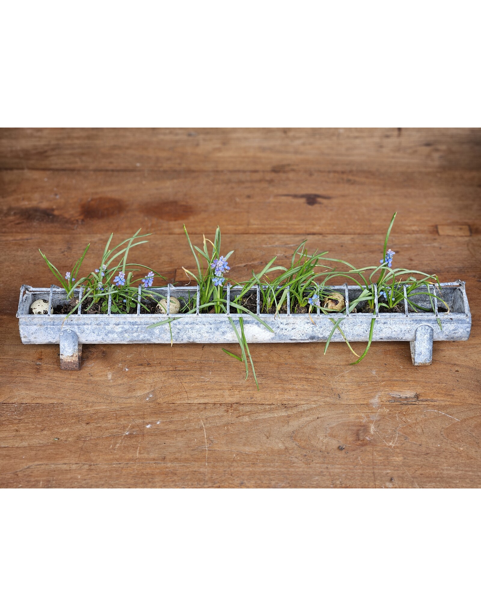 Zinken Kippenvoerbakje