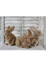 Gevlokte Flock Konijn Haas