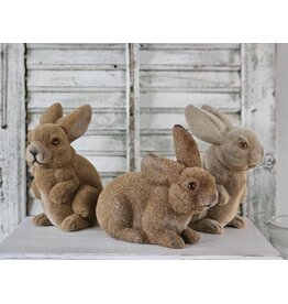 Gevlokte Flock Konijn Haas