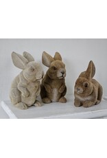 Gevlokte Flock Konijn Haas