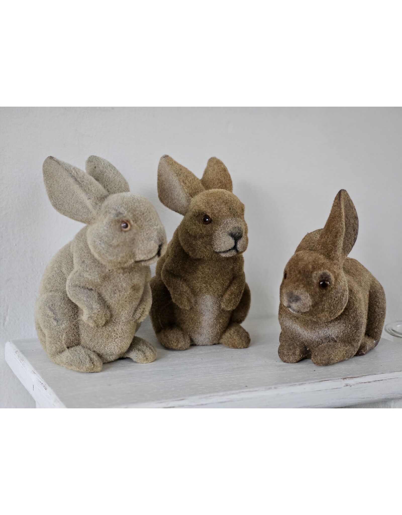 Gevlokte Flock Konijn Haas